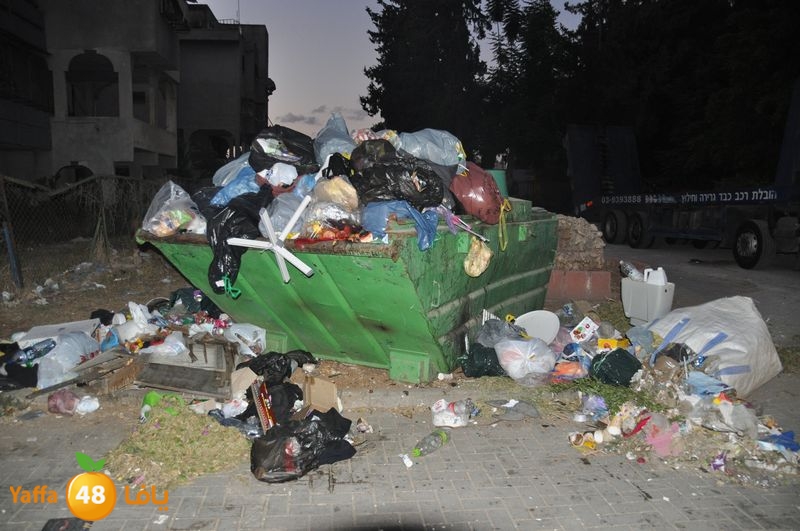 trash lud 907 (5).JPG